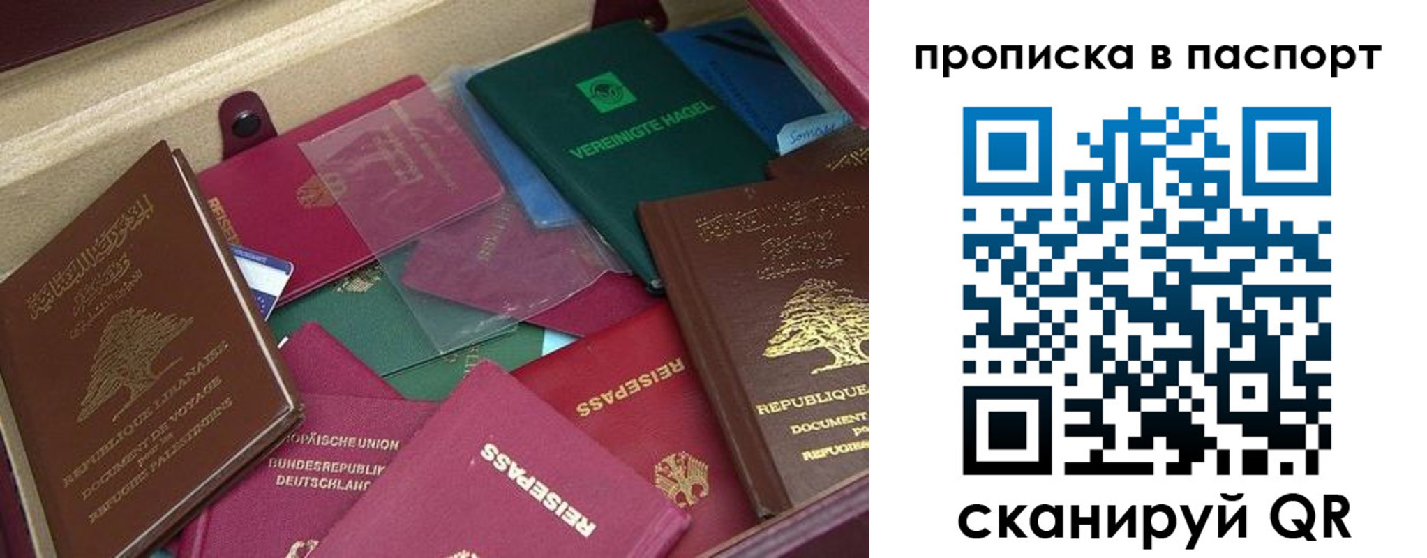 временная регистрация для школы в Кизилюрте